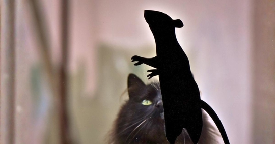 Cat and Mouse Silhouttte