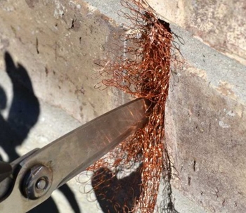 Chemical and Non Chemical Pest Control