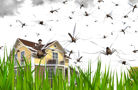 Insects swarm a yellow house, hovering above tall grass.