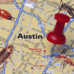 Austin