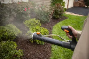 Control Mosquitoes