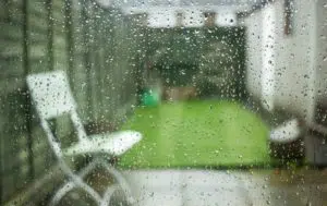 Rain