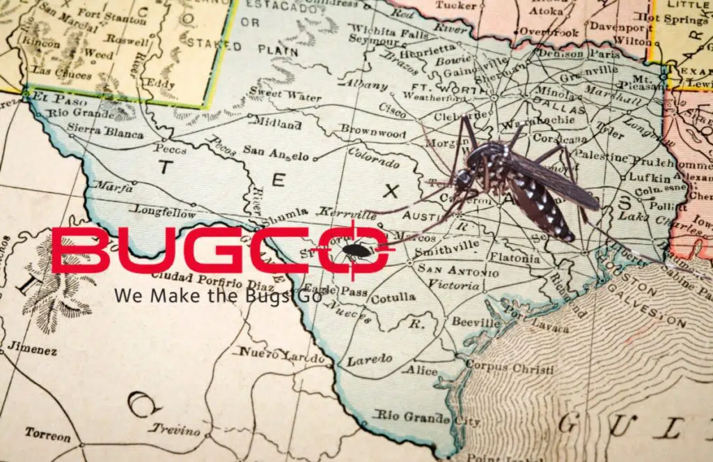 Bugco